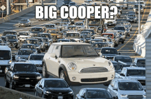 Big Cooper GIF