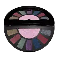 a palette of eye shadows in a black circle