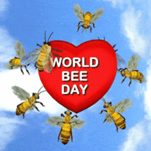 World Bee Day Bees GIF - World Bee Day Bee Bees GIFs