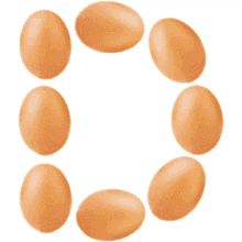 eggs eggs