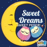 Sweet Dreams Good Night Sweet Dreams GIF - Sweet Dreams Good Night Sweet Dreams Gnsd GIFs