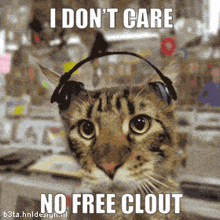 a cat wearing headphones with the caption " i don 't care no free clout "