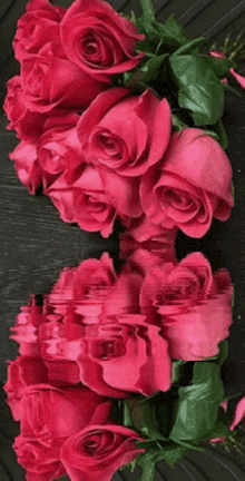 Red Roses In Waters Water Roses GIF