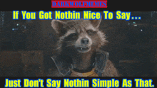 a picture of a raccoon with a caption that says if you got nothin nice to say just don 't say nothin simple as that