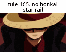Rule 165 No Honkai GIF - Rule 165 Rule No Honkai GIFs