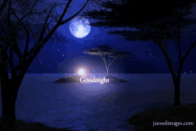 Good Night Moon GIF - Good Night Moon Bonfire GIFs