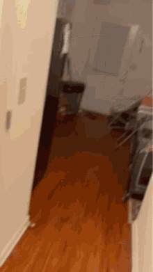 a person is walking down a hallway in a house with a wooden floor .