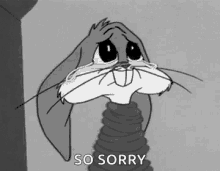 Sorry Bugs Bunny GIF - Sorry Bugs Bunny Cry GIFs