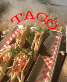 Taco Tuesday Delicious GIF