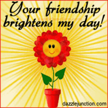 you friendship brightens my day flower brighten smile