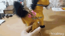 Toy Cat GIF - Toy Cat Horse GIFs