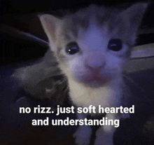 Rizz Soft GIF - Rizz Soft Cat GIFs