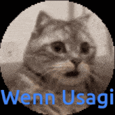 Usagi GIF - Usagi GIFs
