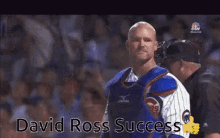 David Ross Success GIF - David Ross Success Yell GIFs