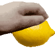 Aim The Lemon Pet Sticker - Aim The Lemon Aim Lemon Stickers