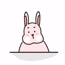 rabbit adorable