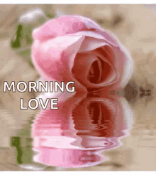 Good Morning Love GIF - Good Morning Love Sparkles GIFs