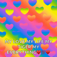 a colorful background with rainbow colored hearts and the words " my love my life my tiger my everything "