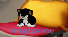 Annoyed Kitty GIF - Annoyed Kitty Cat GIFs