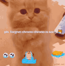 Sorry Chrono Is Sorry GIF - Sorry Chrono Is Sorry Forgive Me GIFs