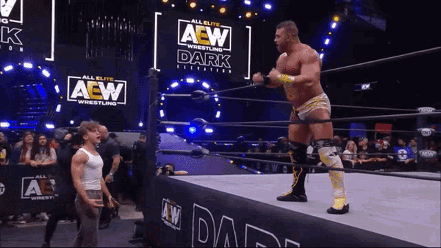 Hook Danhausen GIF - Hook Danhausen Aew - Discover & Share GIFs