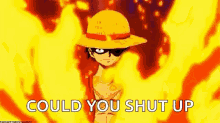 Could You Shut Up One Piece GIF - Could You Shut Up Shut Up One Piece GIFs