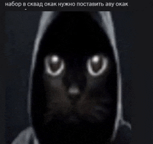 a black cat wearing a white hoodie with glowing eyes