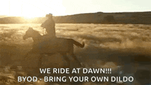 a man is riding a horse in a field with a cowboy hat on .