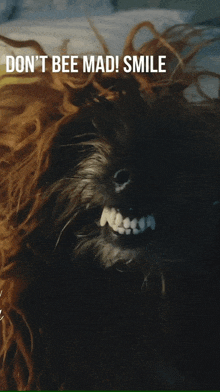Dog Smile Dog Meme GIF - Dog Smile Dog Meme Smile Images GIFs