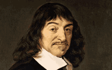 Desconfianza Según Descartes GIF