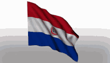 Bandera Paraguaya GIF - Bandera Paraguaya Paraguay Flag GIFs