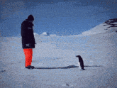 a man in a black jacket and red pants stands next to a penguin