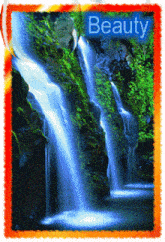 Beauty Rain Waterfall GIF - Beauty Rain Waterfall GIFs