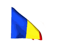 Chad Flag - Flag For French Southern Territories GIF - Chad GIFs