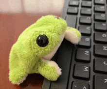 a green stuffed frog is sitting on a keyboard