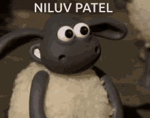 Niluv Patel Niluv GIF - Niluv Patel Niluv Patel GIFs