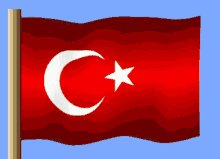 Bayrak Türkiye GIF - Bayrak Türkiye GIFs