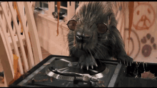Animalwars Rap GIF - Animalwars Rap Comedy GIFs