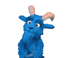 blauer bock blue goat dancing happy swaying