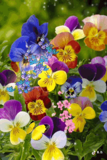 Have A Beautiful Day Flowers GIF - Have A Beautiful Day Flowers Butterfly GIFs