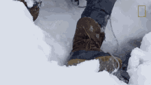 Out Of The Water Primal Survivor GIF - Out Of The Water Primal Survivor Too Cold GIFs