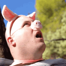 Shocked Pig GIF - Shocked Pig Nate Morse GIFs