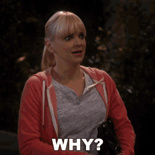 Why Christy GIF - Why Christy Anna Faris GIFs