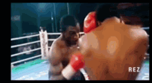 julian jackson the hawk hardest puncher in history counter timing