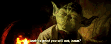 Star Wars Yoda GIF - Star Wars Yoda Wisdom GIFs