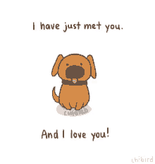 Dog I Have Just Met You And I Love You GIF