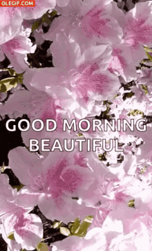Good Morning Flowers GIF