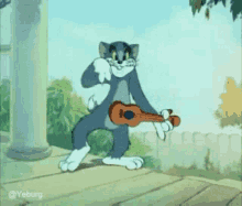 Guitarist Cat GIF - Guitarist Cat Tom Cat GIFs