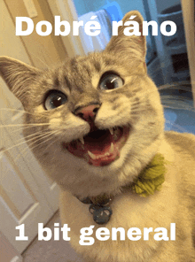 a cat with its mouth open and the words " dobre rano 1 bit general " on the bottom