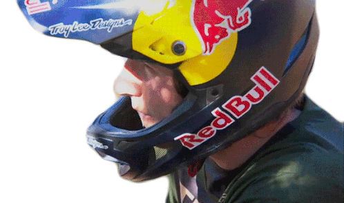 Staring Red Bull Sticker - Staring Red Bull Focused Stickers